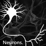 Neurons for WP7: TED Talks in open source sauce